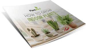 Grown Plants eBook cover
