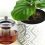 Does watering your plants with tea work?