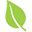 Leaf symbol