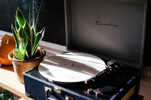 Plant next to a record player