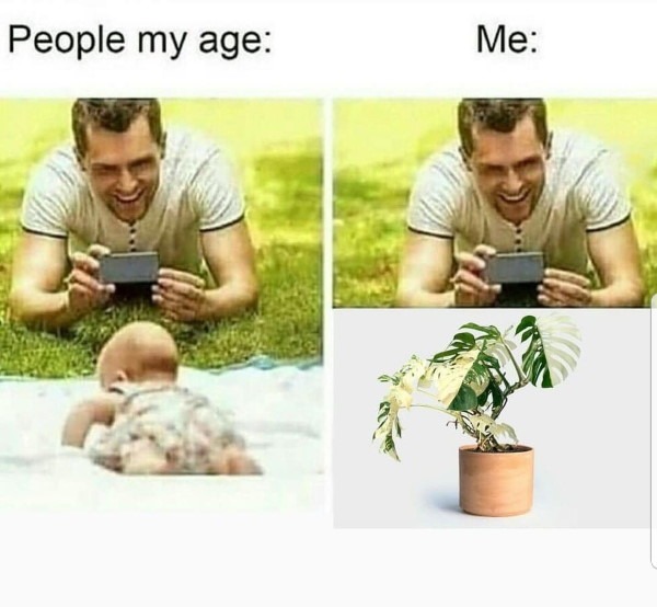 People my age versus people with plants