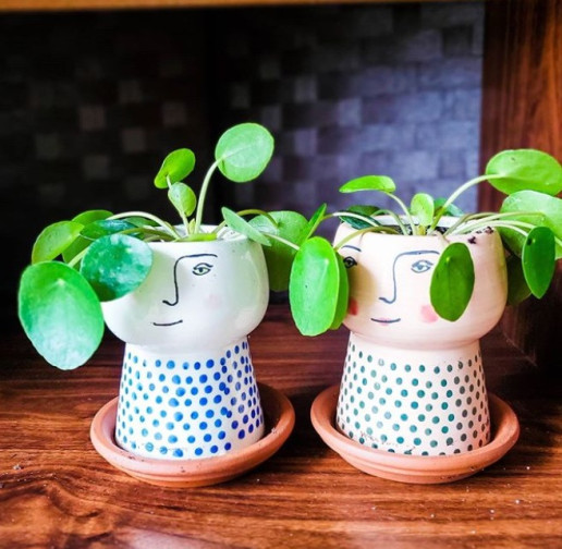 Pilea in funny pot