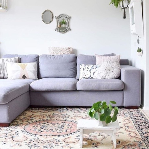 Pilea in living room