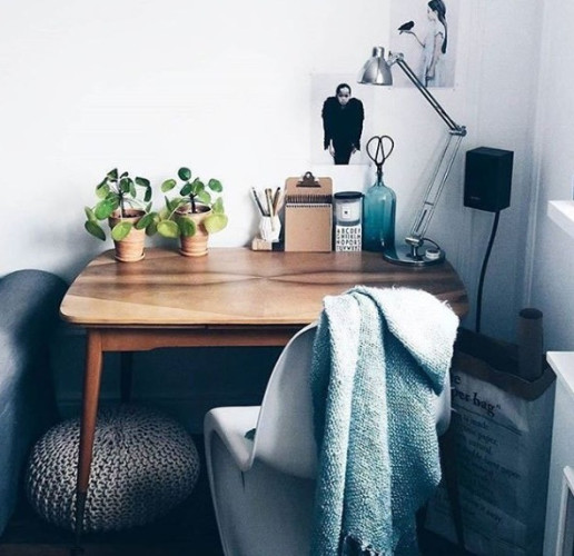 Pilea on a desk