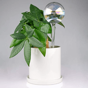 Plant watering globe